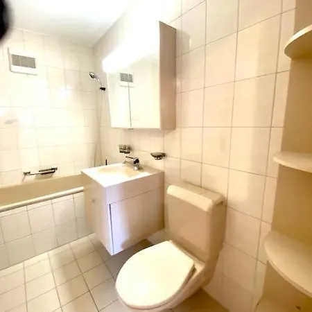 公寓 Private In Schaenis For Than 3 Guests The Entire Place Is Yours